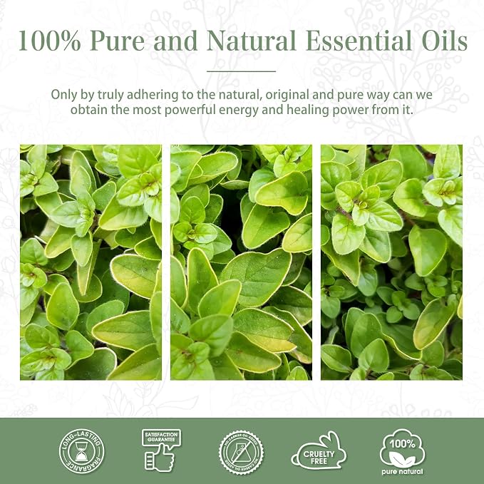 Oregano 3.38fl.oz Essential Oil, PHATOIL Pure Aromatherapy Oils - Image 6