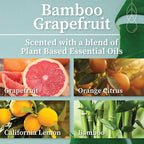 Hemlock Park Bamboo Grapefruit Apothecary Hand-Poured Scented Candle | - Image 2