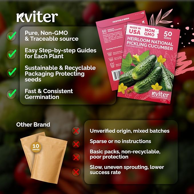 KVITER 50 National Pickling Cucumber Seeds - Image 5