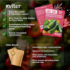 KVITER 50 National Pickling Cucumber Seeds - Image 5