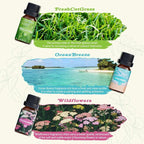 SALKING Nature Fragrance Oils, Premium Essential Oil - Image 3
