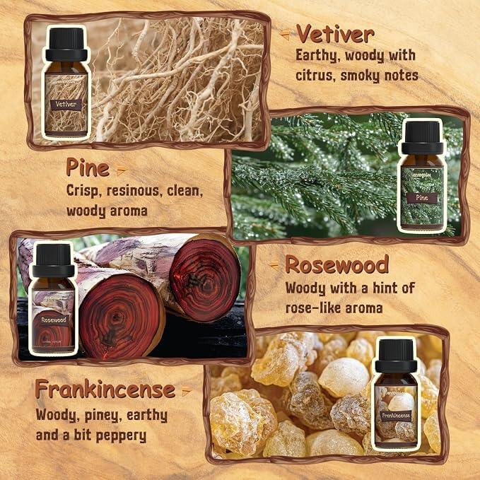 ARVIDSSON Woody Essential Oils Set, Wood Fragrance Oils Gift Set, 12 x 10ml - Image 4