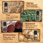 ARVIDSSON Woody Essential Oils Set, Wood Fragrance Oils Gift Set, 12 x 10ml - Image 4