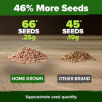 HOME GROWN San Marzano Tomato Seeds 66+ Heirloom Non-GMO Seeds - Image 3