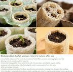Natural Loofah Sponges Organic Luffa Bath Shower Sponge Exfoliating Body Back - Image 5