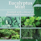 Hemlock Park Eucalyptus Mint Apothecary Hand-Poured Scented Candle | Crackling - Image 2