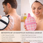 CraftsOfEgypt 4-Pack Natural Egyptian Loofah Exfoliating Body Scrubber Sponges - Image 3