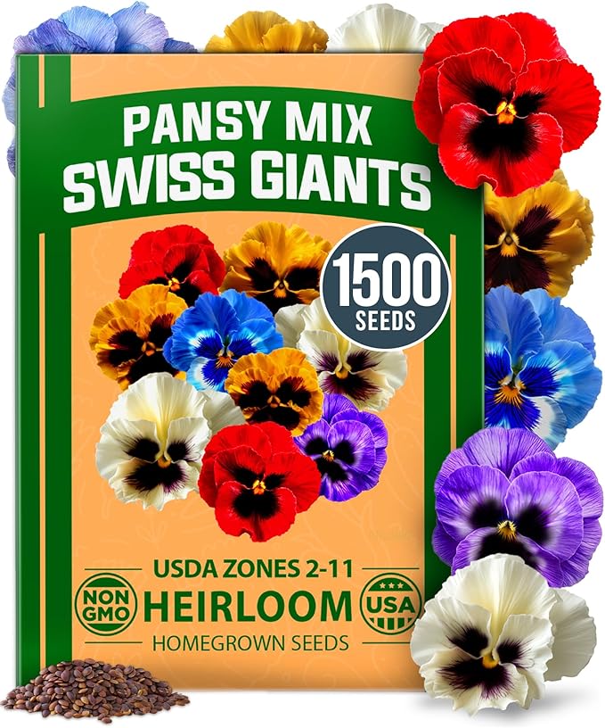 HOME GROWN Pansy Swiss Giants Mix by HOMEGROWN