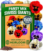 HOME GROWN Pansy Swiss Giants Mix by HOMEGROWN
