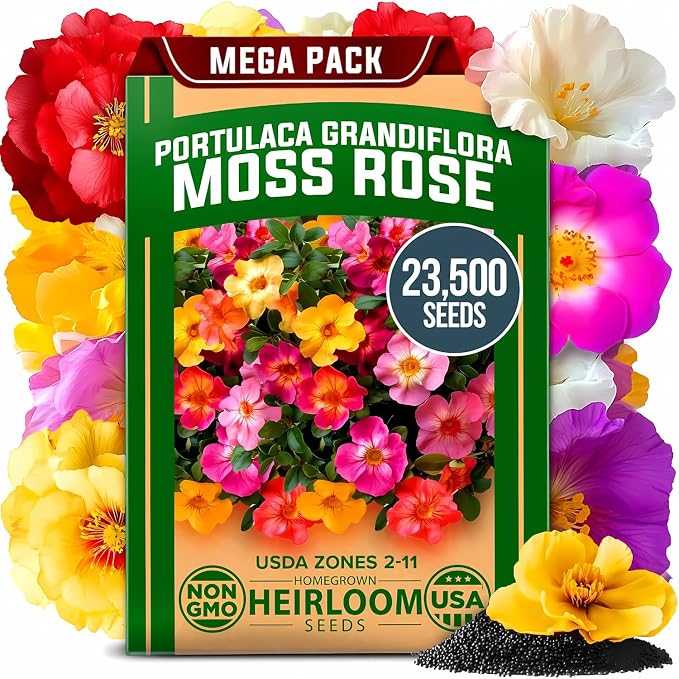 HOME GROWN 23, 500+ Moss Rose Seeds Annual Flower by HOMEGROWN