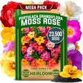 HOME GROWN 23, 500+ Moss Rose Seeds Annual Flower by HOMEGROWN