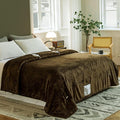 JET'S HOME Heated Blanket King 100"x90" by Jetshome