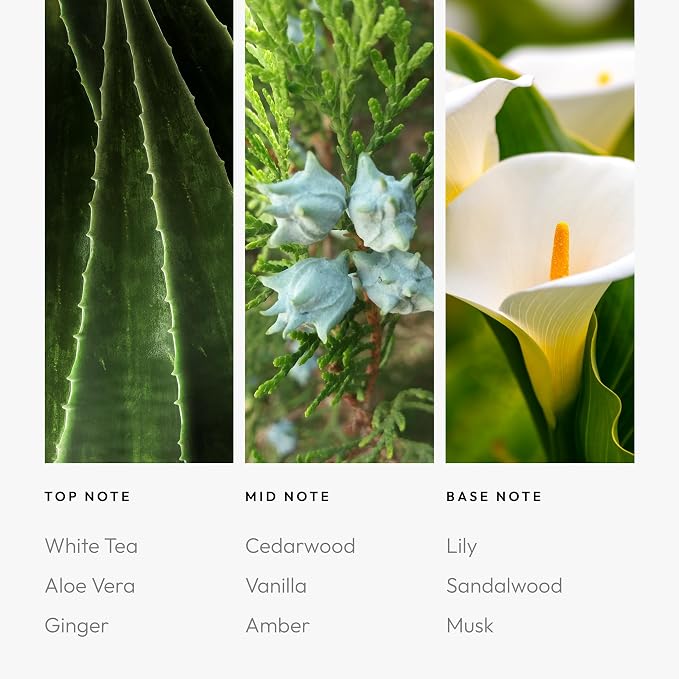 Aroma360 Dream On Pro Pod Fragrance Oil Blend | Hotel Inspired Luxury Essential - Image 2