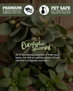 Eucalyptus Spearmint Premium Tealight Candles - Image 5