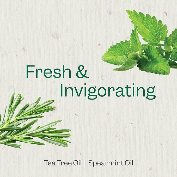 RENPURE Tea Tree & Mint Body Wash - Image 4