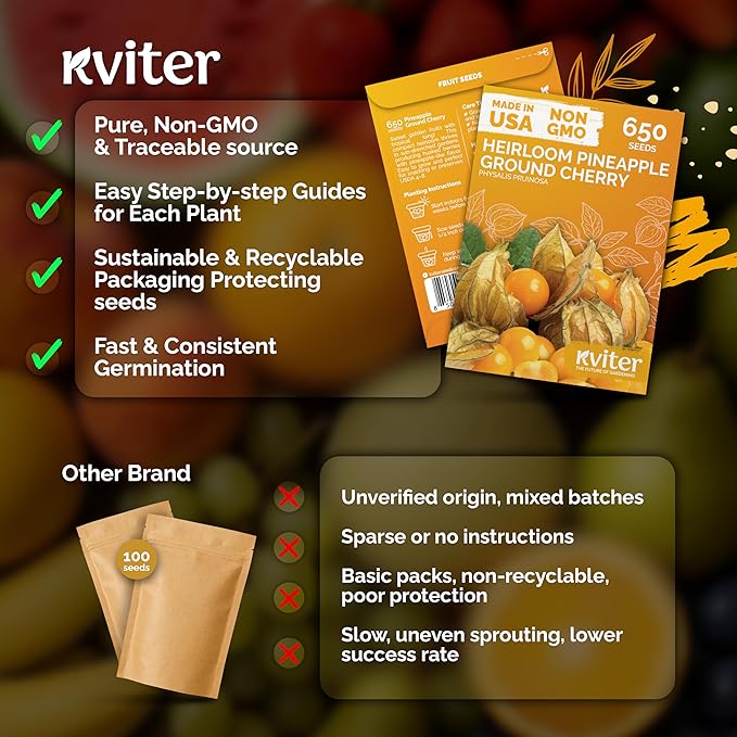 KVITER 650 Aunt Molly Ground Cherry Seeds - Image 5