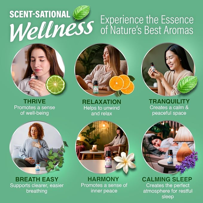 GuruNanda Essential Oil Blends – 6 Pack, Breathe Easy, Tranquility, Relaxation - Image 5