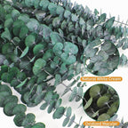 30 Pcs Eucalyptus for Shower, Dried Hanging Bundle -17in Real Eucalyptus Stems - Image 4
