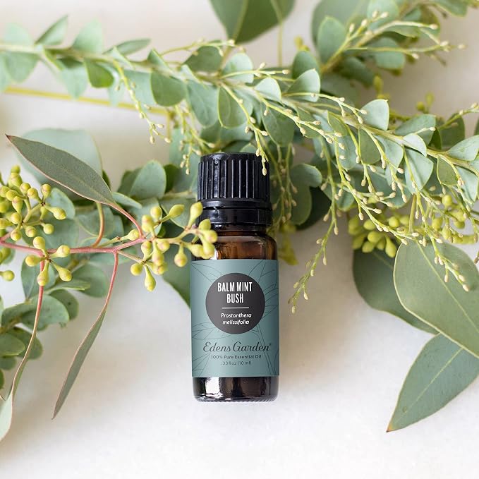 Edens Garden Balm Mint Bush Essential Oil- 100% Pure Premium Grade, Therapeutic - Image 2