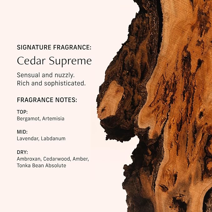 CYKLAR Perfume Oil for Skin – Cedar Supreme Scent – Crisp, Aromatic & Warm - Image 4