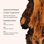CYKLAR Perfume Oil for Skin – Cedar Supreme Scent – Crisp, Aromatic & Warm - Image 4