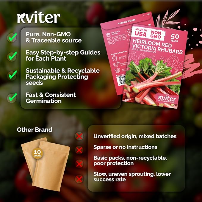KVITER 50 Red Victoria Rhubarb Seeds - Image 5
