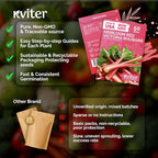 KVITER 50 Red Victoria Rhubarb Seeds - Image 5