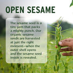 Banyan Botanicals Sesame Oil – Organic & Unrefined Sesame Oil - Image 5