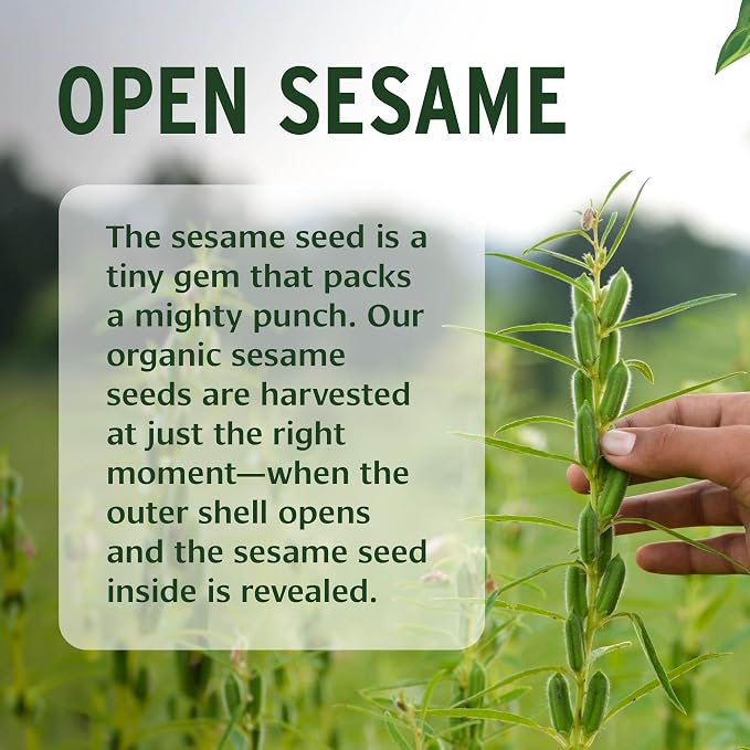 Banyan Botanicals Organic Unrefined Sesame Oil – Rich & Warming Ayurvedic - Image 2