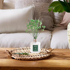 Airkeep Reed Diffuser Set, 3.38 fl oz - Image 6