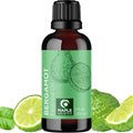 Bergamot Essential Oil for Diffuser Aromatherapy by MapleHolistics