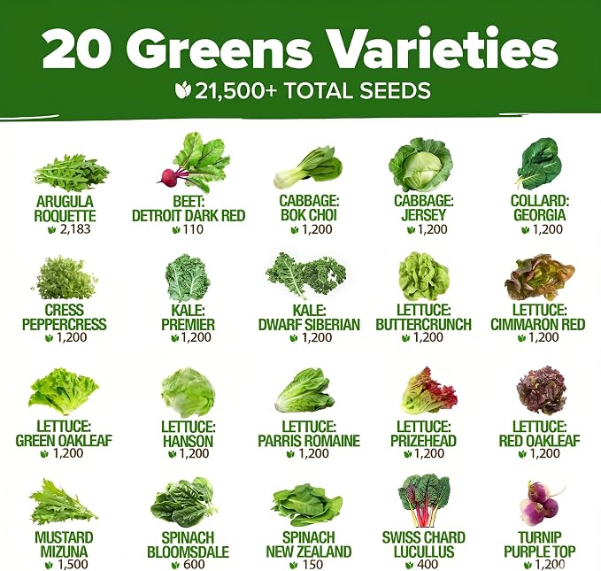 HOME GROWN 20 Variety Lettuce Seeds 21, 700+ Bulk Pack Heirloom Non-GMO - Image 2