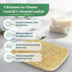 Natural Loofah Kitchen Sponge - Image 7