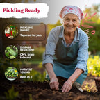 KVITER 50 National Pickling Cucumber Seeds - Image 4