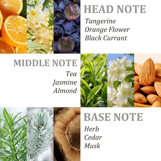 Tgideas Hydrating Collagen Hair Mask - Image 9