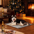 Toozey Large Heated Pet Mat 35x24 in - Image 9