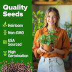 HOME GROWN Catnip Seeds Heirloom Herb 4232 Seeds - Image 2
