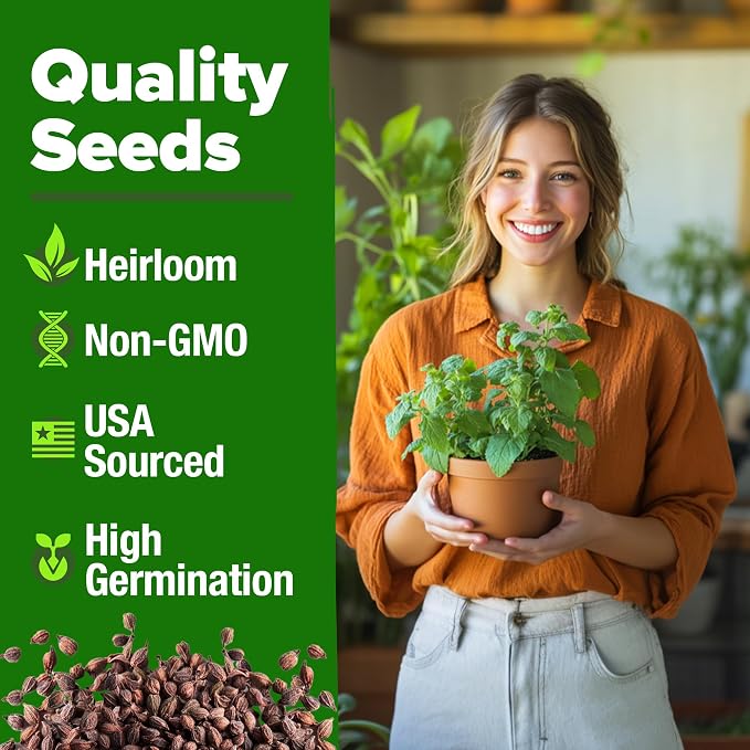 HOME GROWN Catnip Seeds Heirloom Herb 4232 Seeds - Image 2