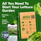 HOME GROWN Parris Island Romaine Lettuce Seeds 7000+ Bulk Pack Heirloom Non-GMO - Image 8
