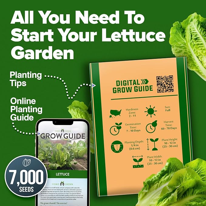 HOME GROWN Parris Island Romaine Lettuce Seeds 7000+ Bulk Pack Heirloom Non-GMO - Image 8