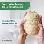 Natural Loofah Exfoliating Sponge - Image 4