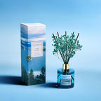 COCORRÍNA Reed Diffuser - Image 2