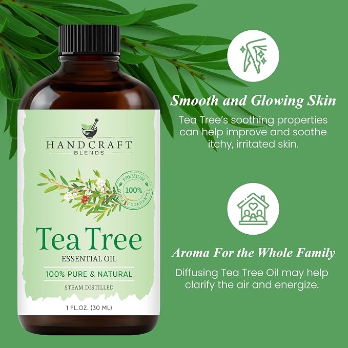 Handcraft Blends Tea Tree Essential Oil – 1 Fl Oz – 100% Pure and Natural – - Image 4