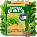 HOME GROWN 1000+ Cilantro Seeds by HOMEGROWN