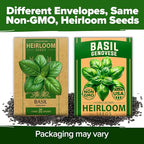 HOME GROWN Genovese Basil Seeds 2 Pack - Image 8