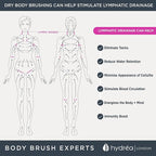 Hydrea London Dry Body Brush Long Handled Exfoliating Skin Brush - Image 7