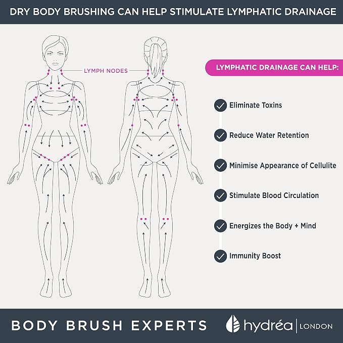 Hydrea London Dry Body Brush Long Handled Exfoliating Skin Brush - Image 7