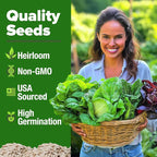 HOME GROWN Lettuce Seeds 5 Variety Mix 3950+ Bulk Pack Heirloom Non-GMO - Image 2