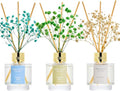 Airkeep Reed Diffuser Set of 3, Jasmine Mint Gardenia Freesia Pear Oil Reed by Airkeep