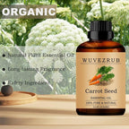 Carrot Seed Essential Oils, 240ML 100% Pure and Natural Essential Oil - Image 4